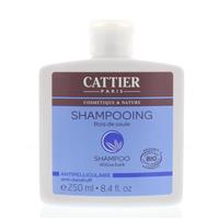 Shampoo Anti-roos Wilgenbast 
