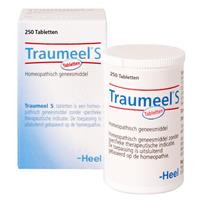 Traumeel S tabletten
