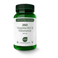 250 Vitamine B12 & foliumzuur