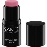 Lip to Cheek Stick 01 Blush