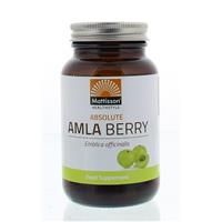 Absolute Amla Berry extract 500 mg